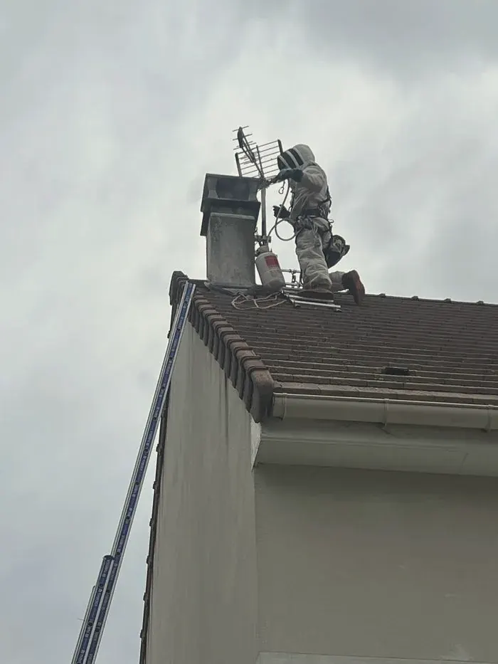 Cordiste sur une toiture de l'Oise pour détruire un nid de frelons en hauteur